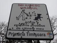 Imagine atasata: Iubesc orasul - 2013.12.17 - 2.jpg